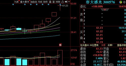 受益光刻膠概念,容大感光5天4板